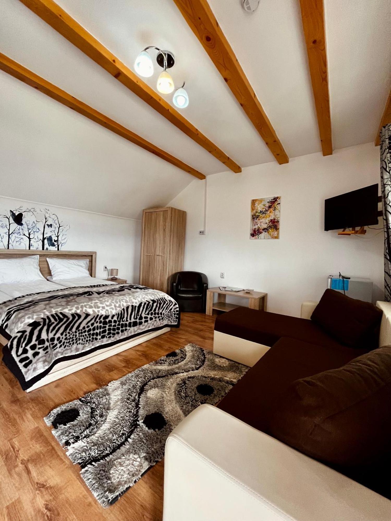 Vila Sofia Haţeg Exterior foto