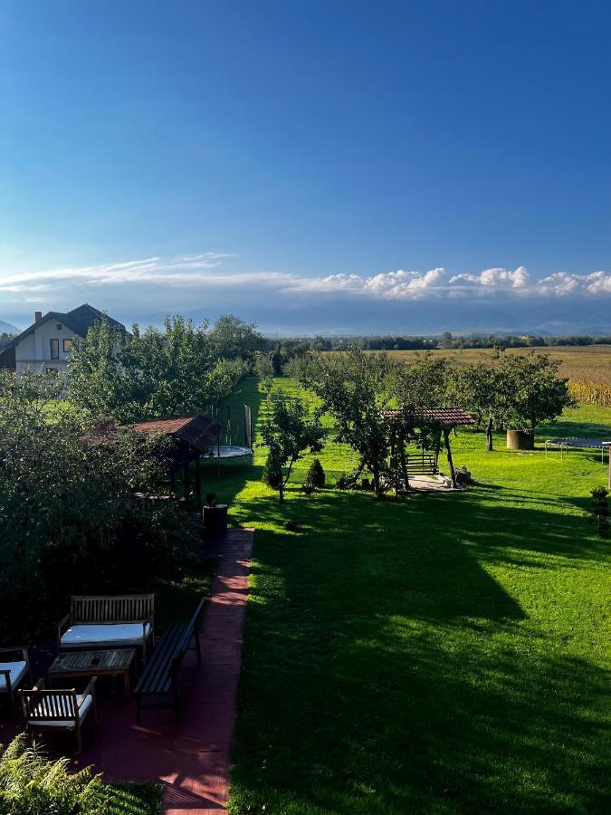 Vila Sofia Haţeg Exterior foto