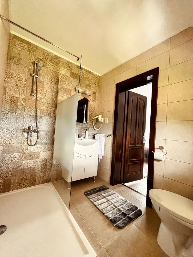Vila Sofia Haţeg Exterior foto