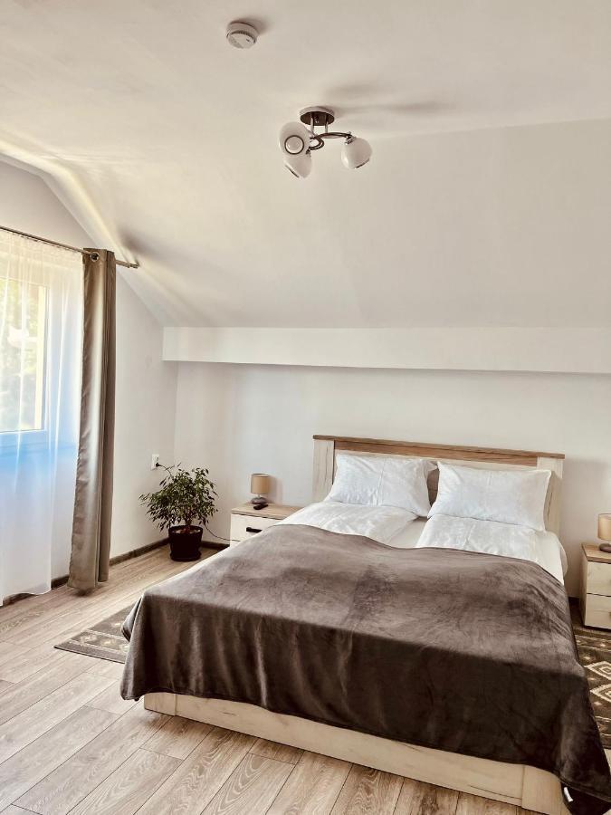 Vila Sofia Haţeg Exterior foto