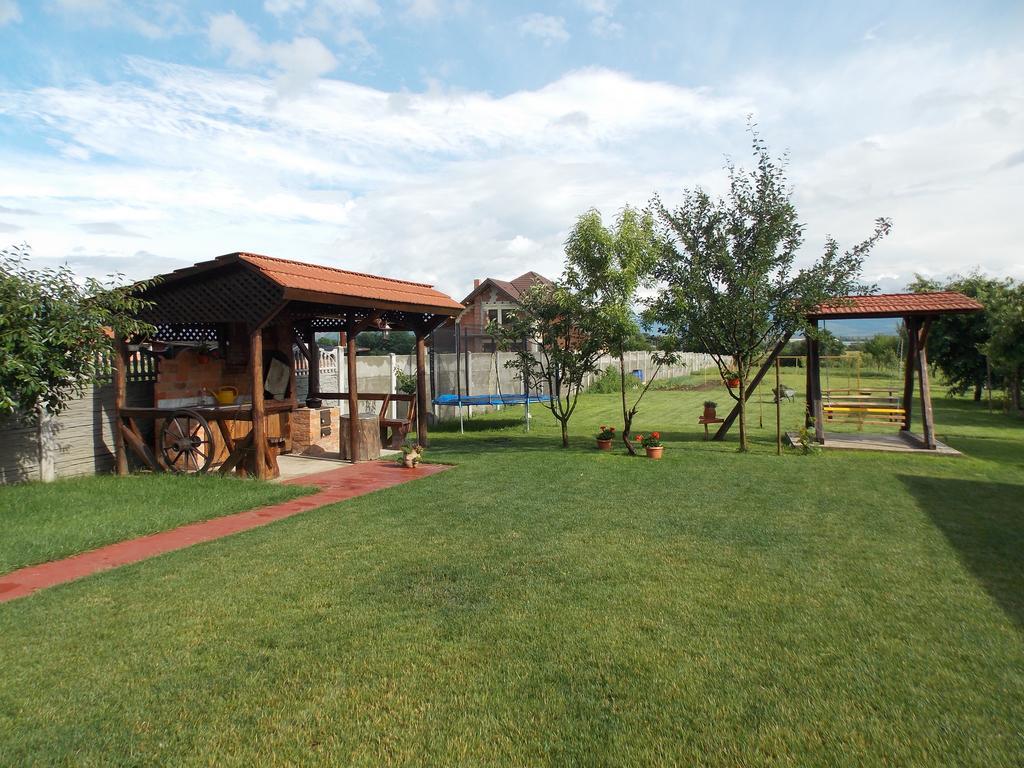Vila Sofia Haţeg Exterior foto